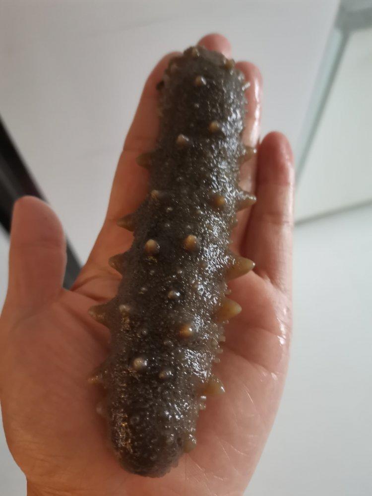 堂妈教你发海参