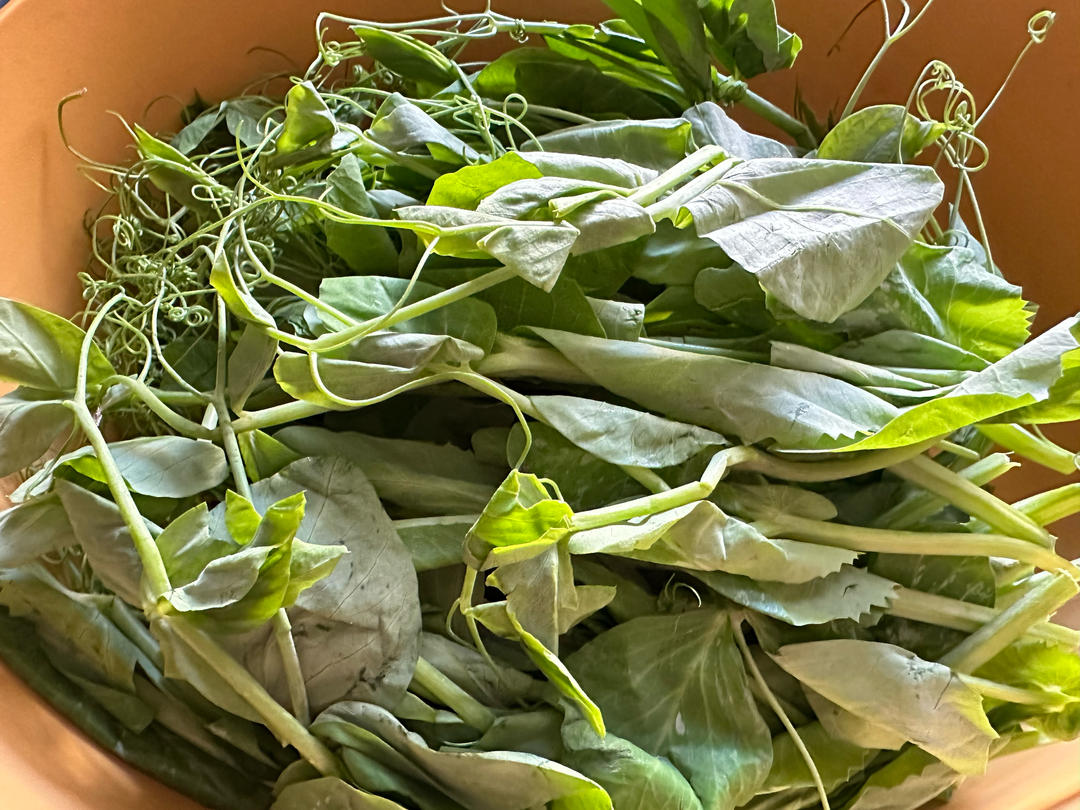家常豌豆尖汤（勾氏私房菜）