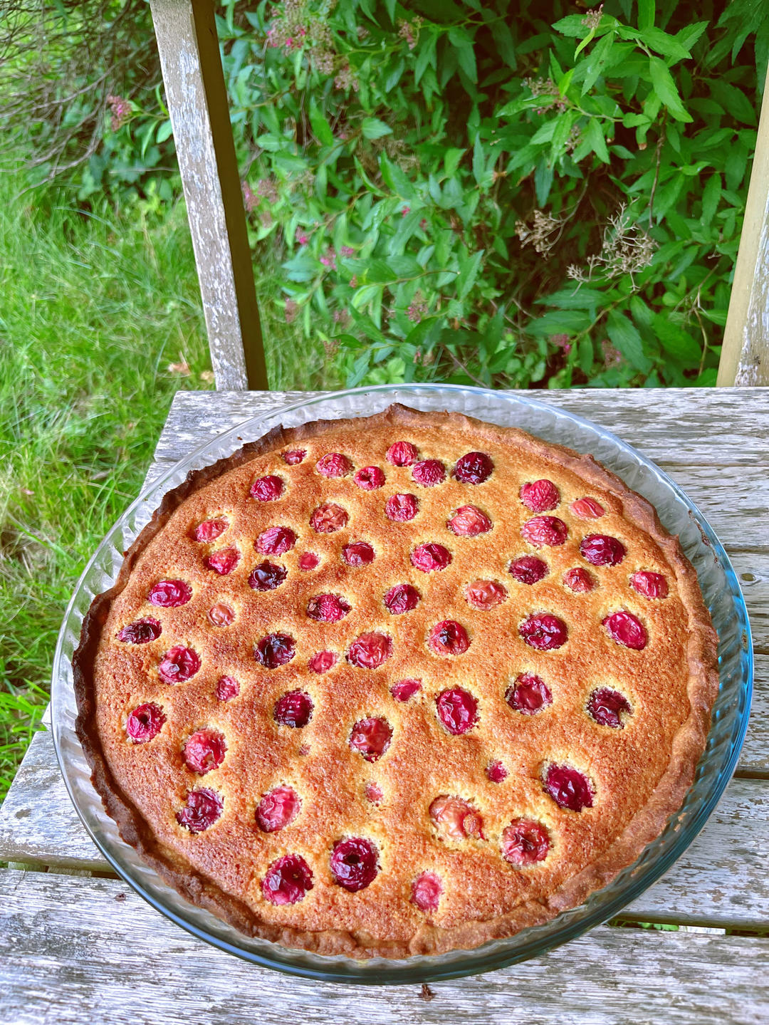 传统法式甜品【樱桃杏仁挞】Cherry Frangipane Tart 车厘子杏仁挞