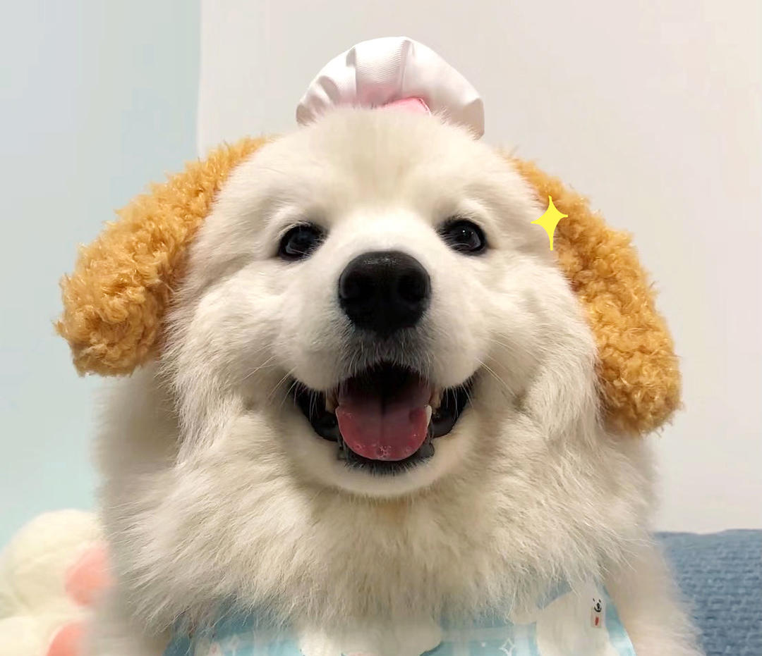 咕咕咕咕咕箐_