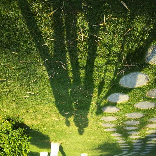 天下第一小吃货他妈