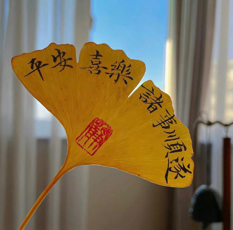 柴土豆