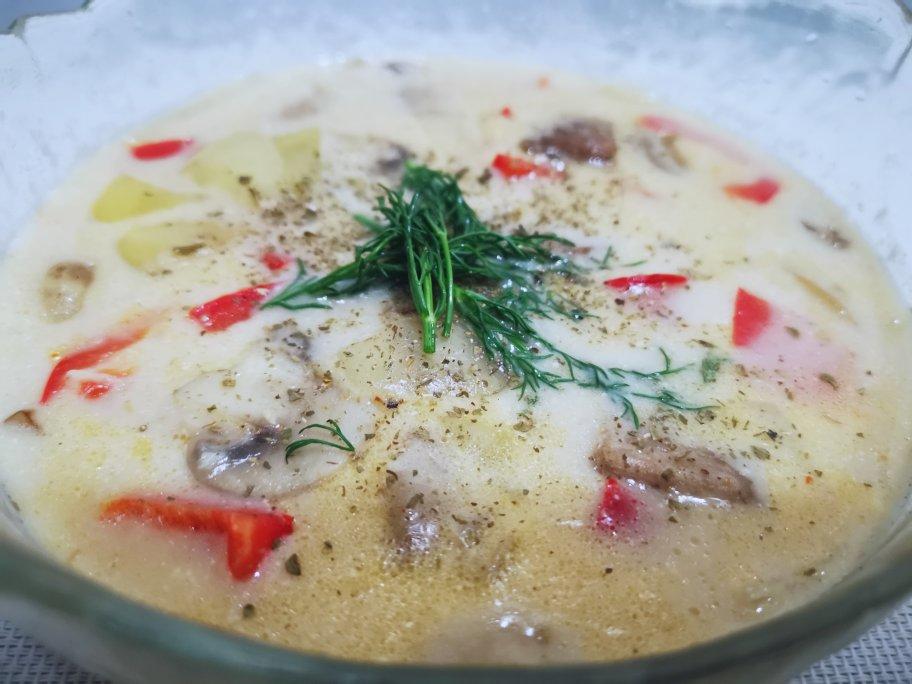 俄罗斯酸奶油牛肉汤Stroganoff soup