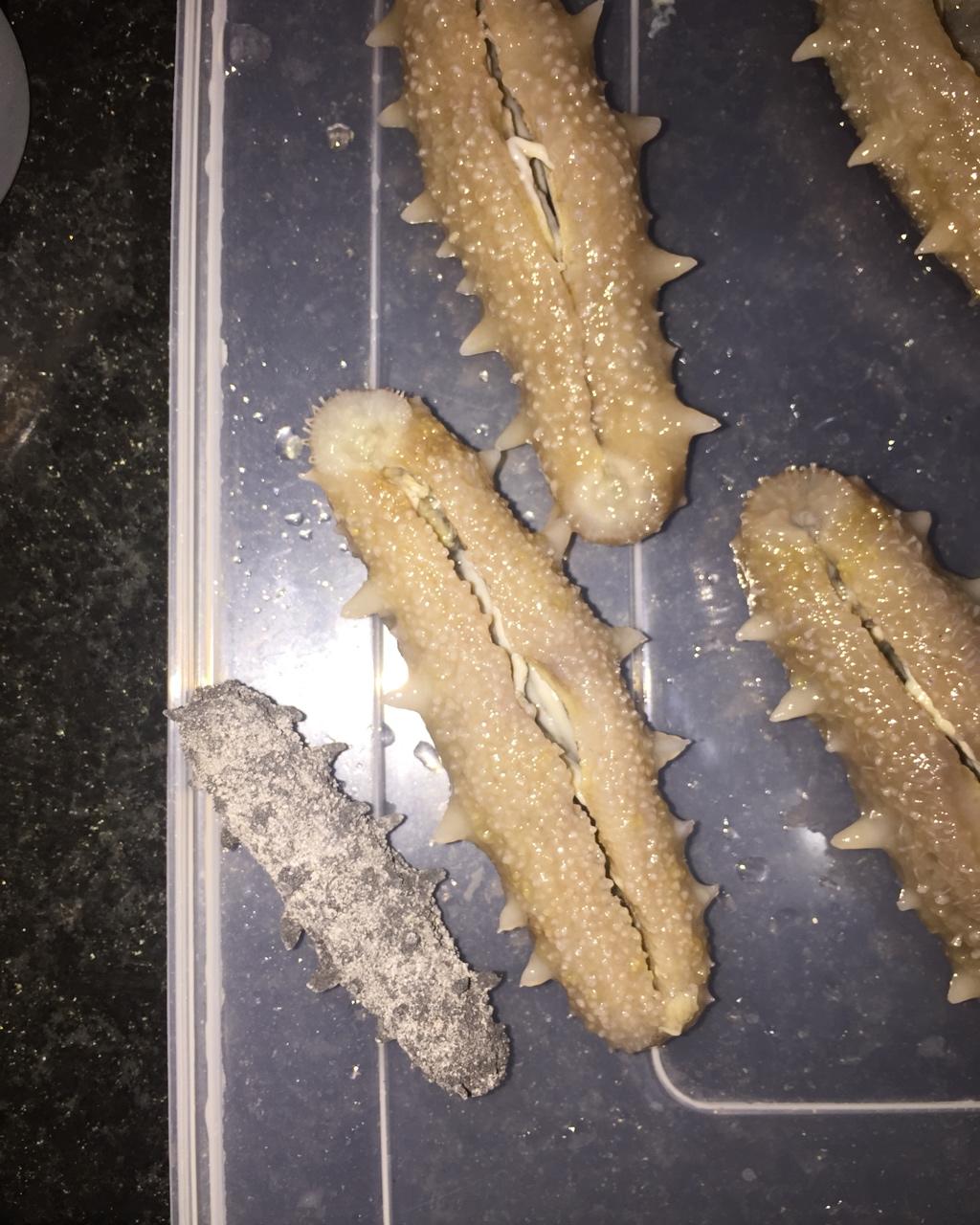 泡发海参的方法