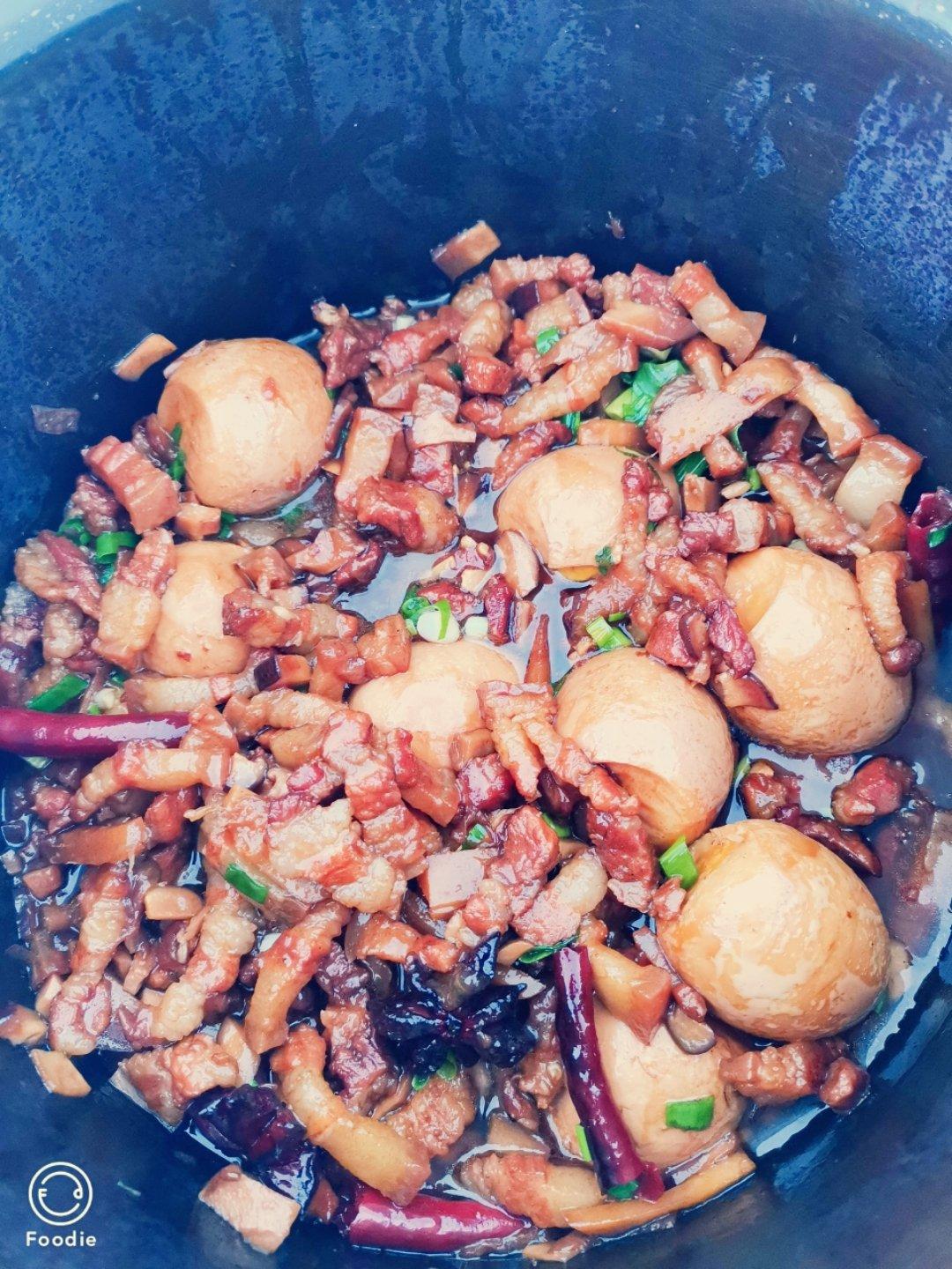 洋葱酥卤肉饭
