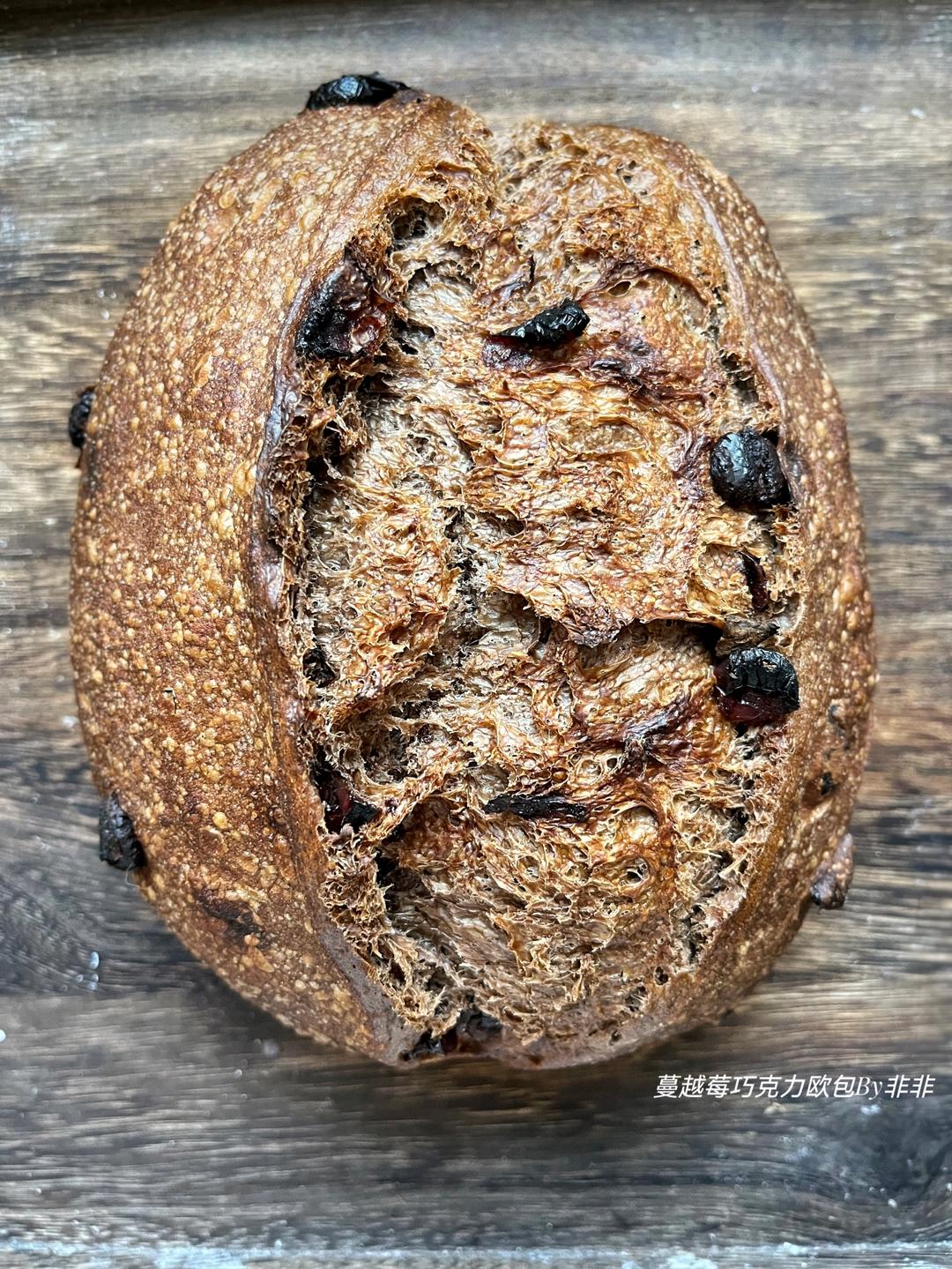 天然酵种巧克力脆皮面包
