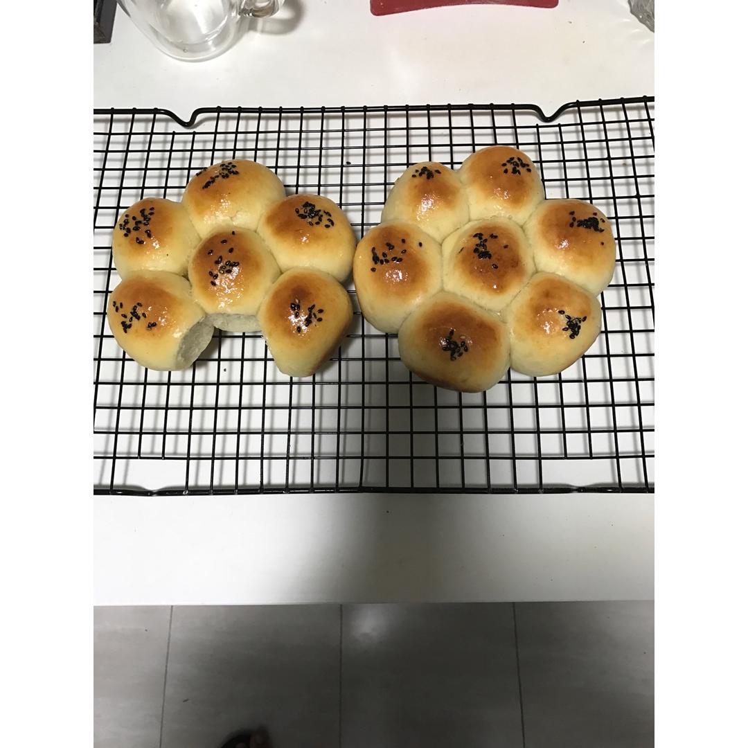 牛奶软面包（中种法）