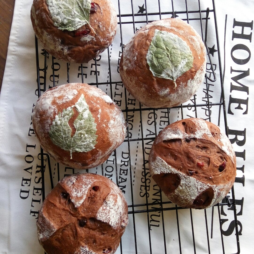 巧克力蔓越莓软欧 Rano Bread