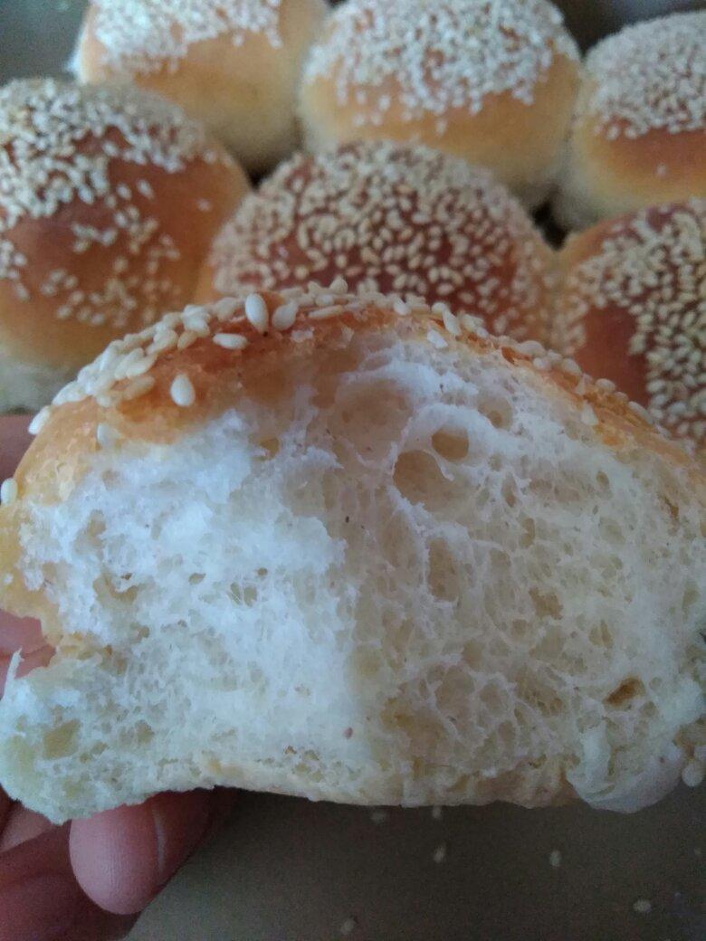 基础汉堡胚(汤种法)