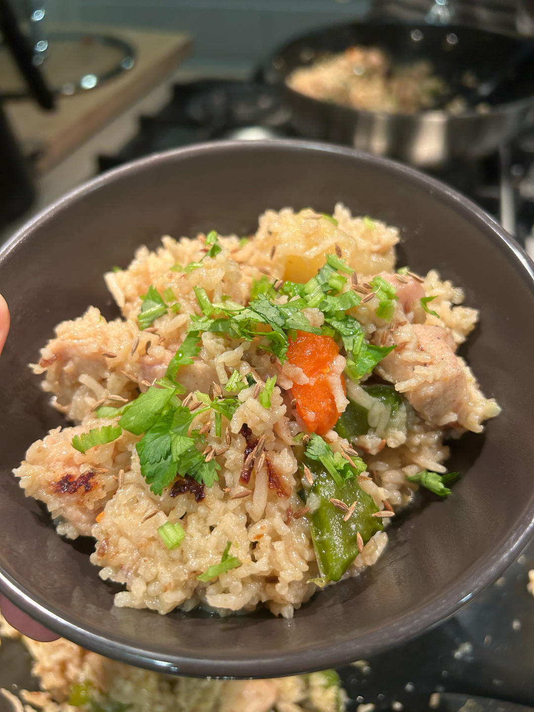 【健康三餐】香喷喷孜然鸡肉闷饭