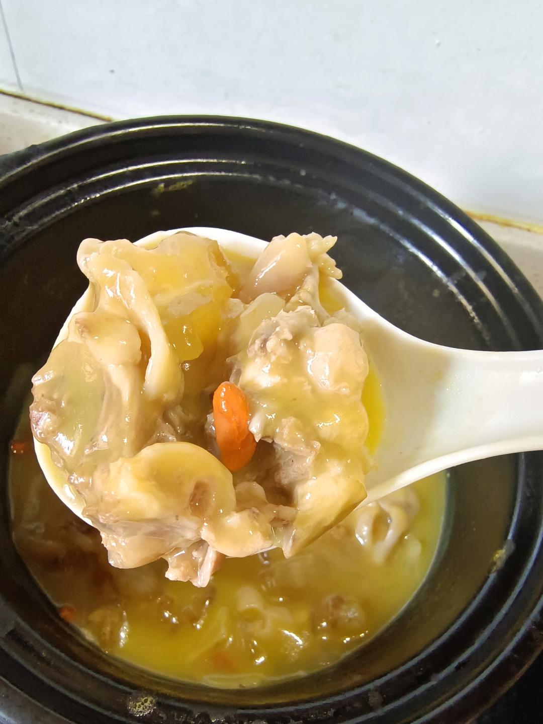 金汤花胶炖鸡煲