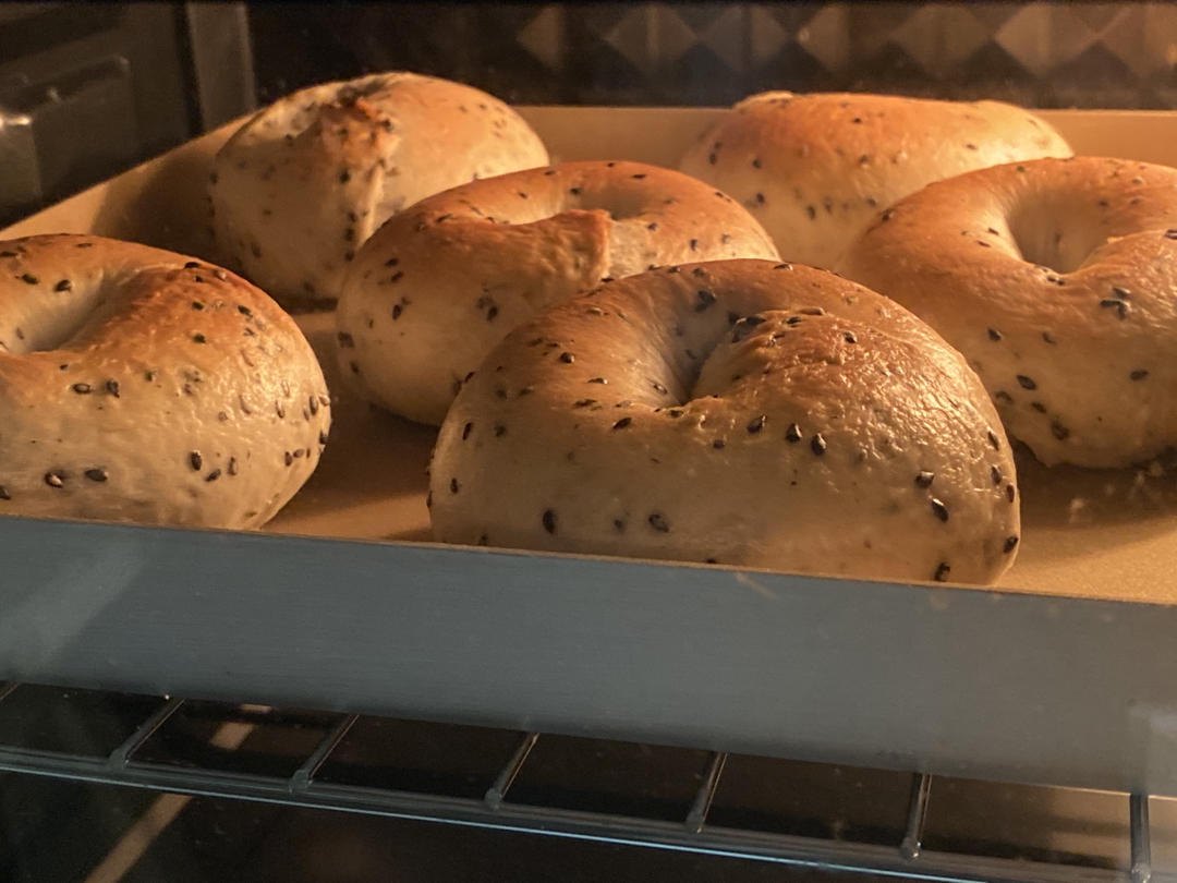 原味贝果🥯/黑芝麻贝果🥯
