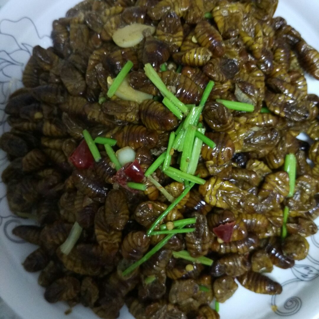 炒蚕蛹