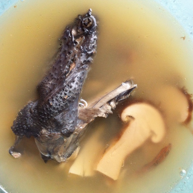 野山菌鸡汤