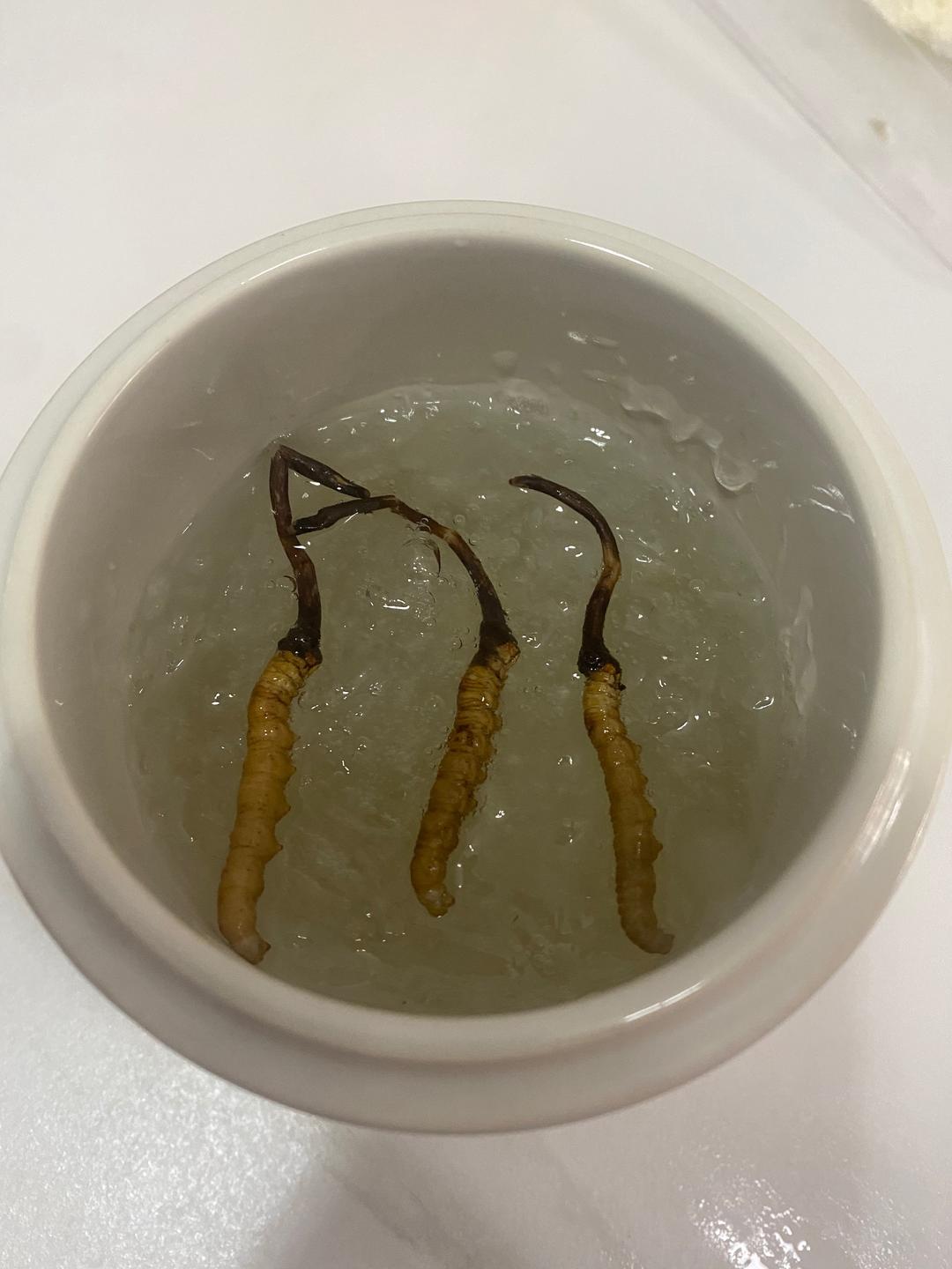 燕窝炖冬虫夏草