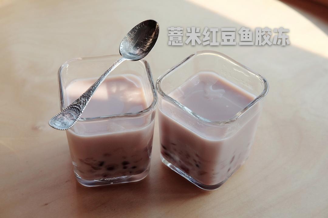 薏米红豆鱼胶冻