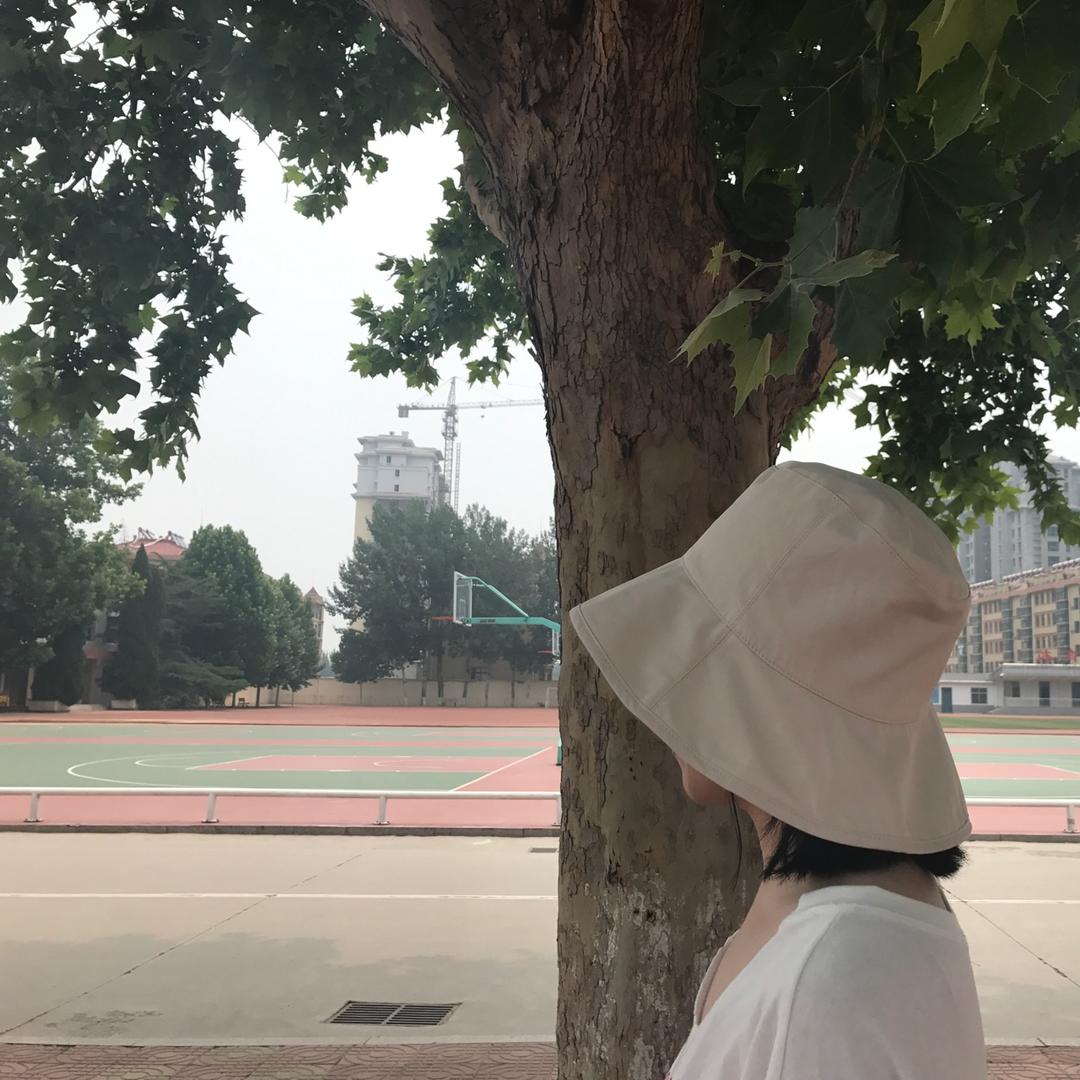 你是我的大樹吗