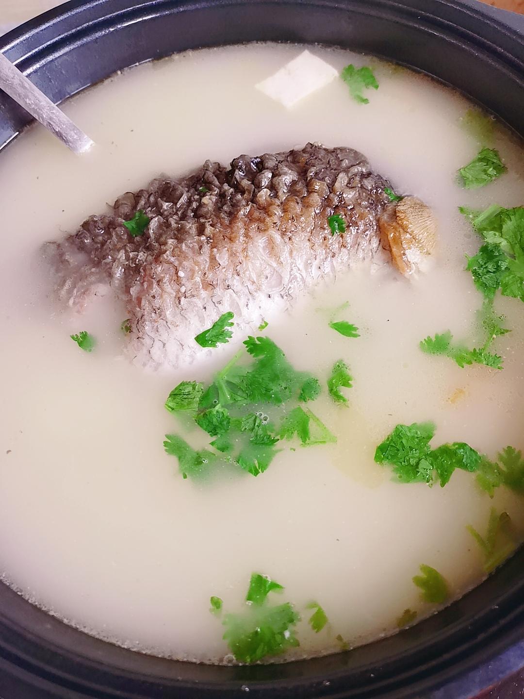 鲫鱼豆腐汤（奶白汤诀窍）