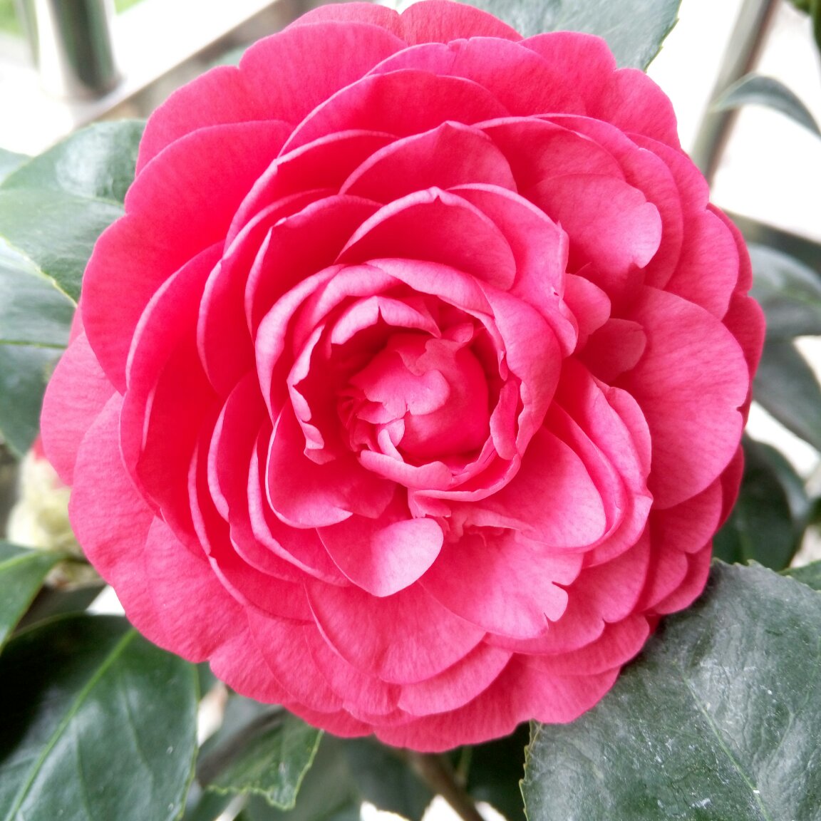 手机用户6409_vo39