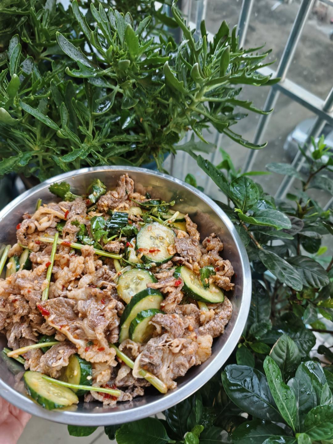 丈母娘吃了都夸的凉拌香菜牛肉