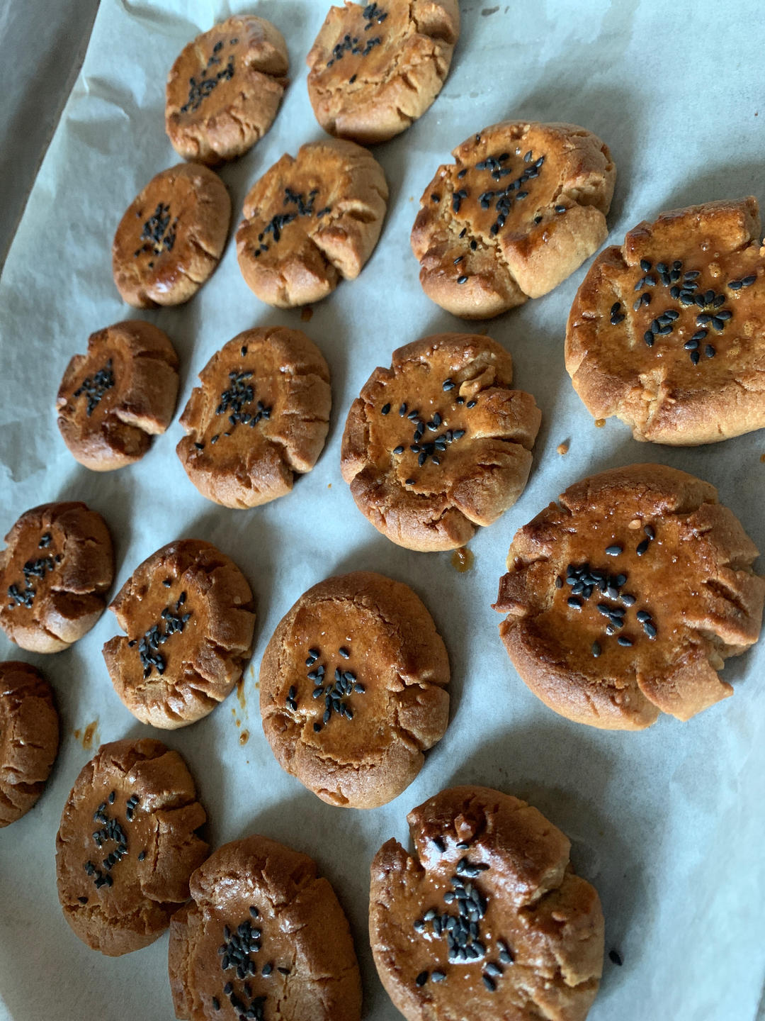 核桃酥 女侠森森