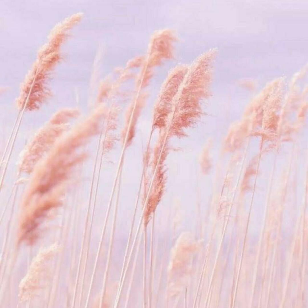 双眼蘸绿横秋水