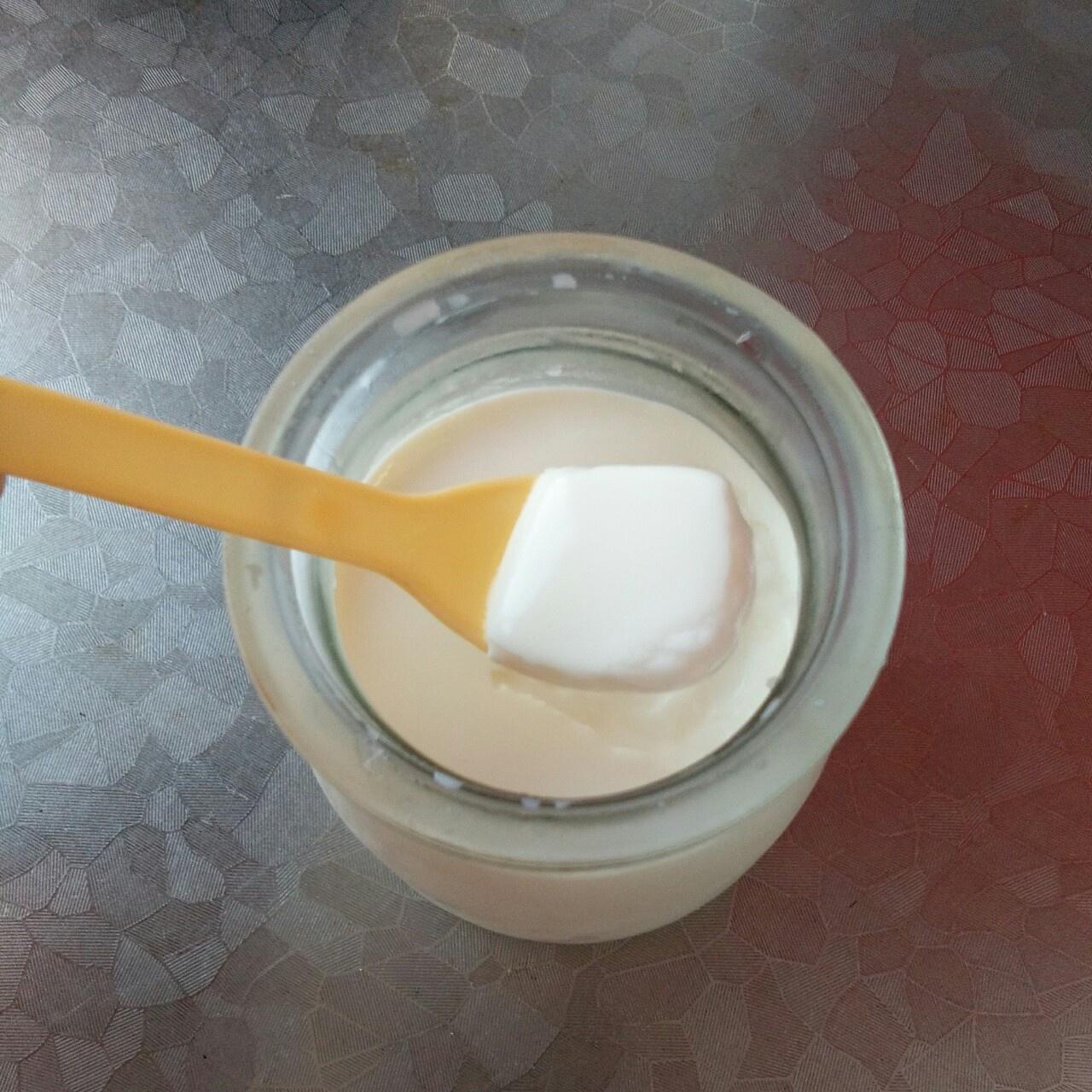 烤箱版自制酸奶的做法
