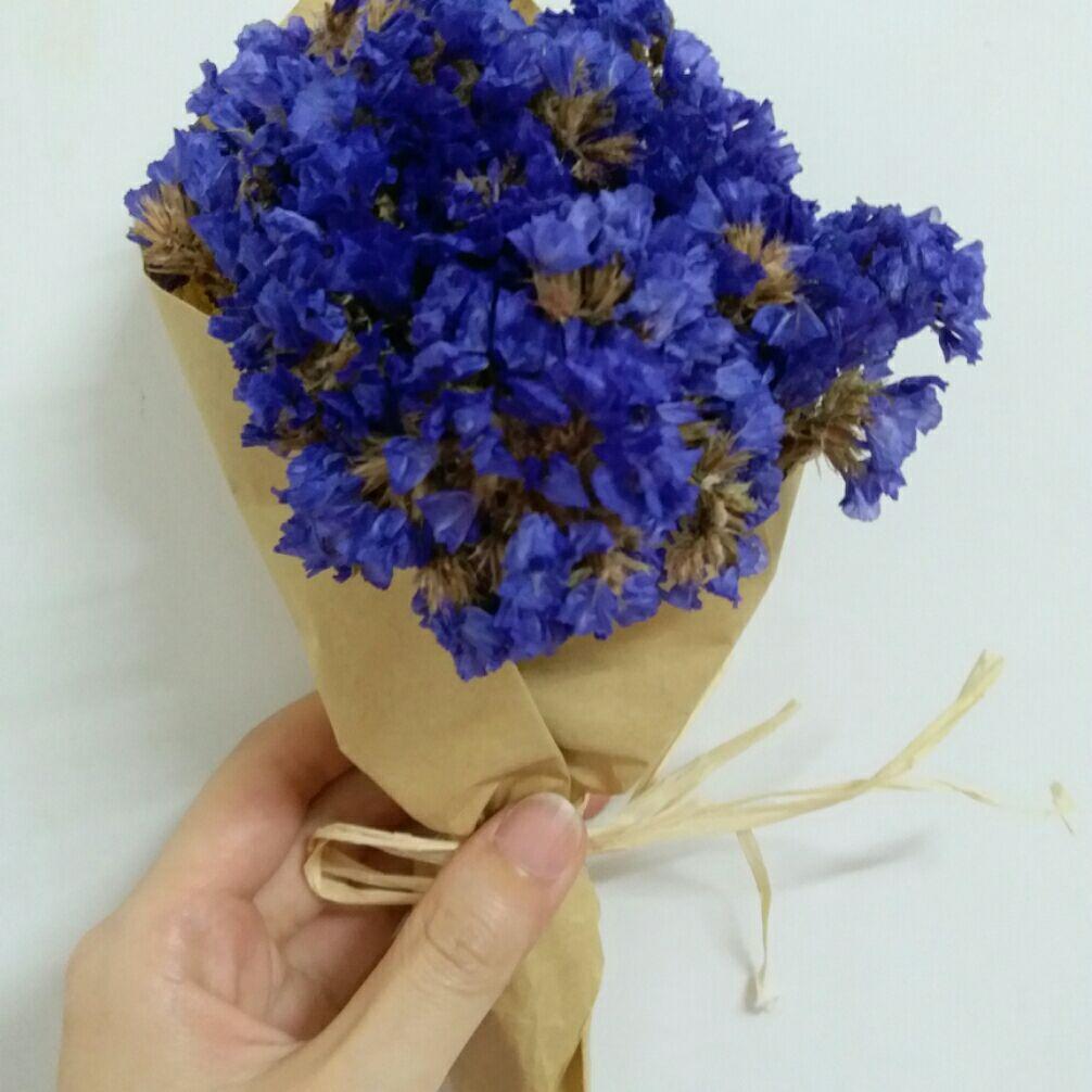 阿锐一一