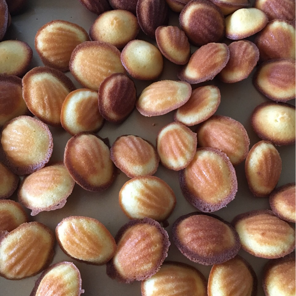 玛德琳（蓝带方）