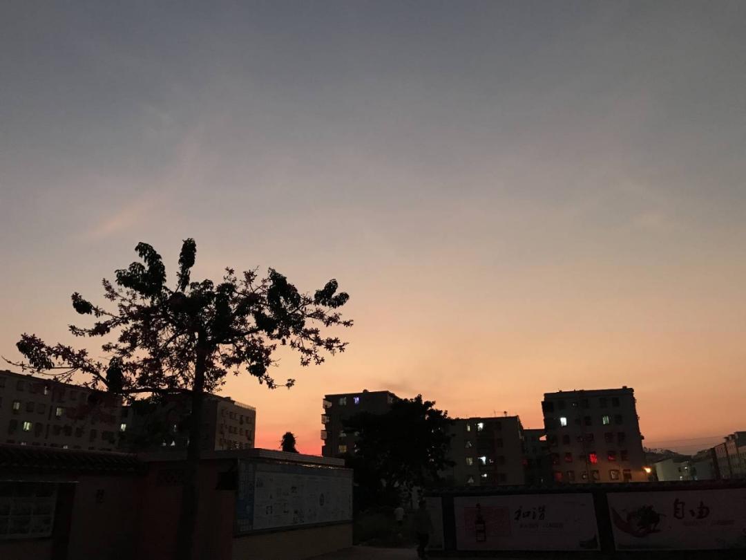 二个菠萝
