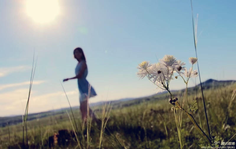 大黄小黄饲养员