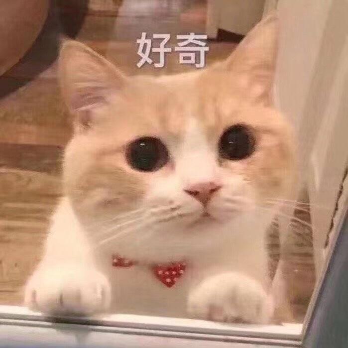 好吃懒做还想吃