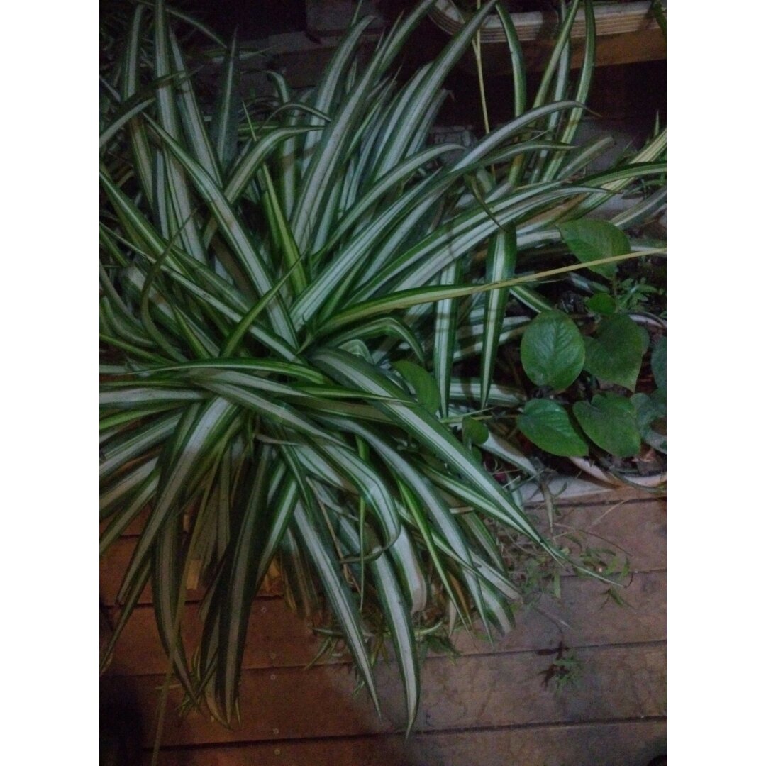 手机用户6624_b7km