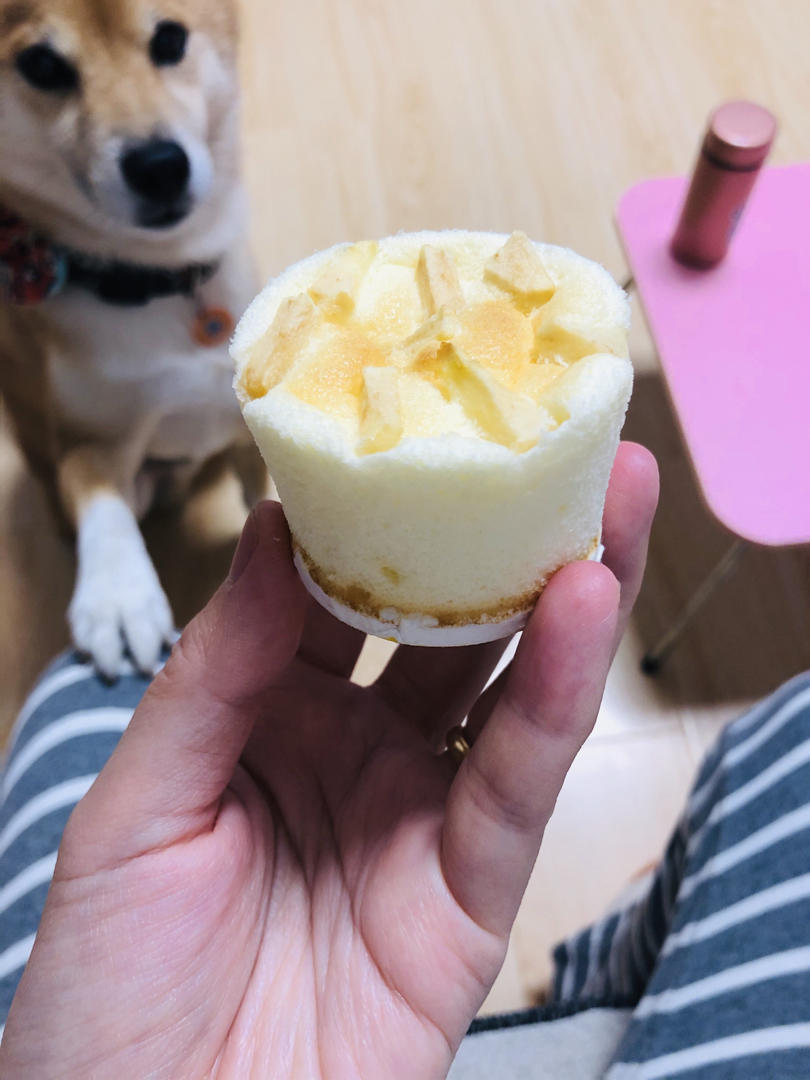 无油酸奶小蛋糕