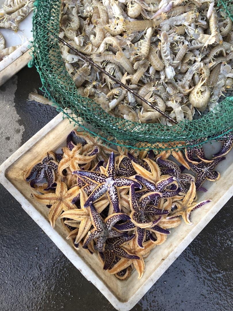 记录我做过的海鲜们