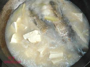 鲫鱼豆腐汤的做法 步骤6