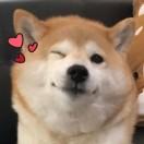 晓东家常菜谱
