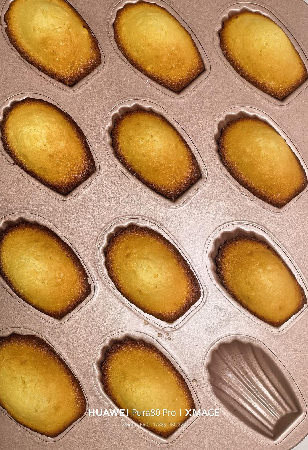 经典原味玛德琳蛋糕