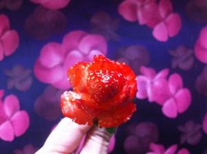 草莓花朵的做法 步骤3