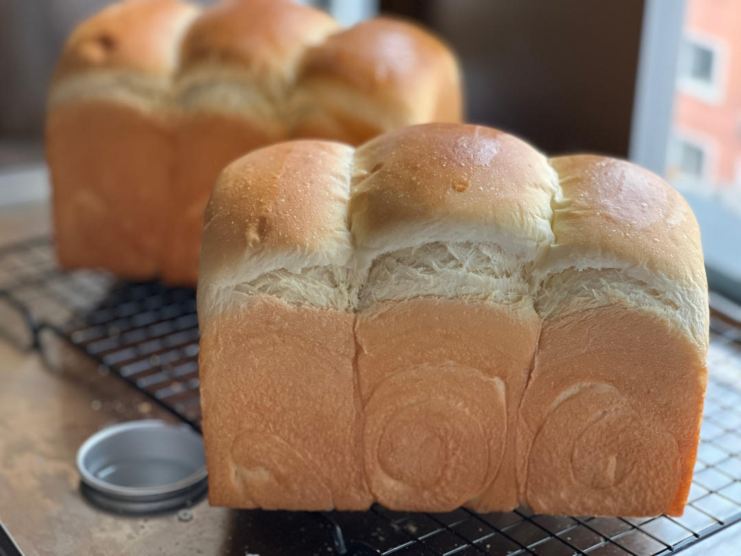 冷藏法快速出膜一次发酵大吐司🍞