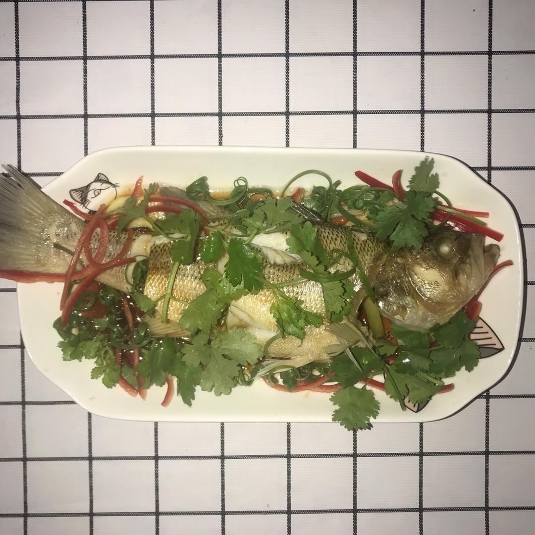 新手零失败的清蒸鲈鱼