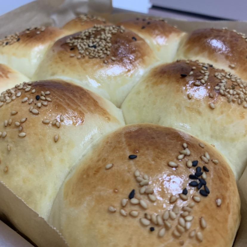 鲜奶油小餐包（一次发酵）