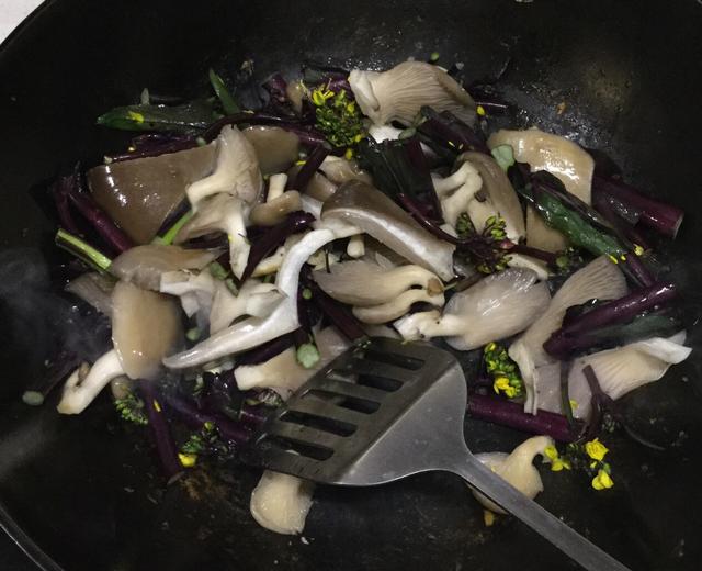 紫菜苔炒平菇的做法