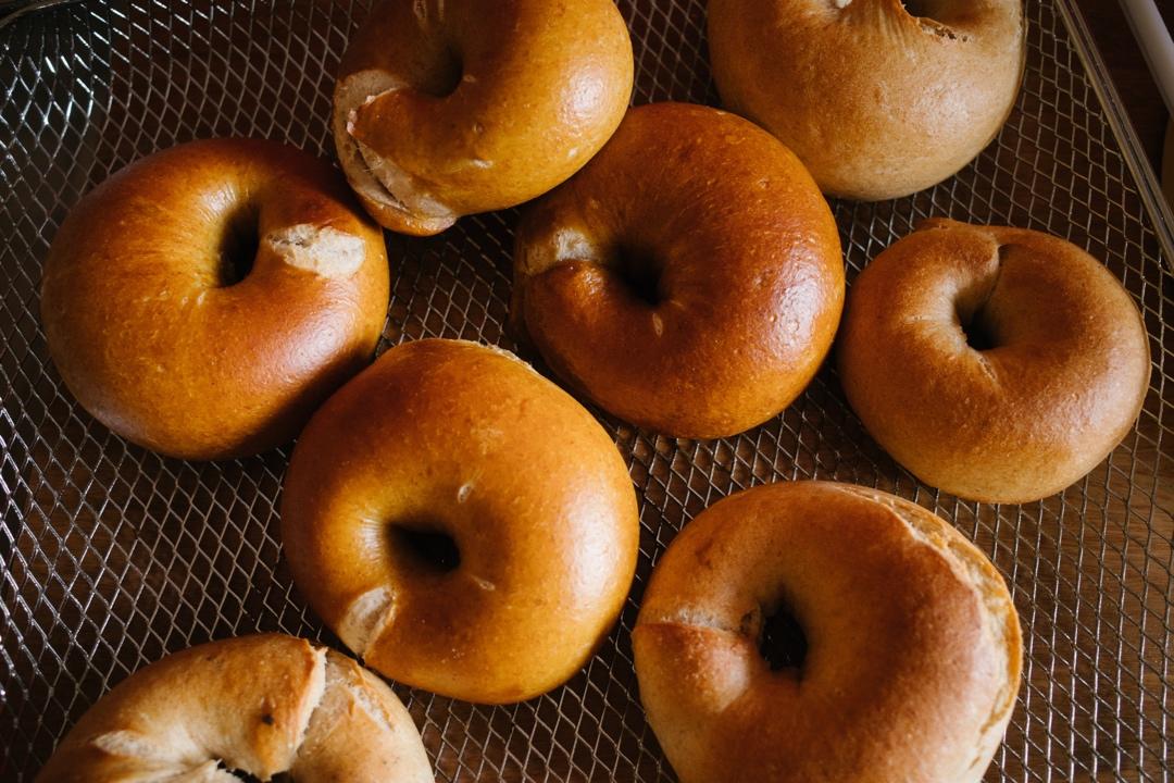 无油碱水贝果——保姆级别贝果攻略，看这一期就够了