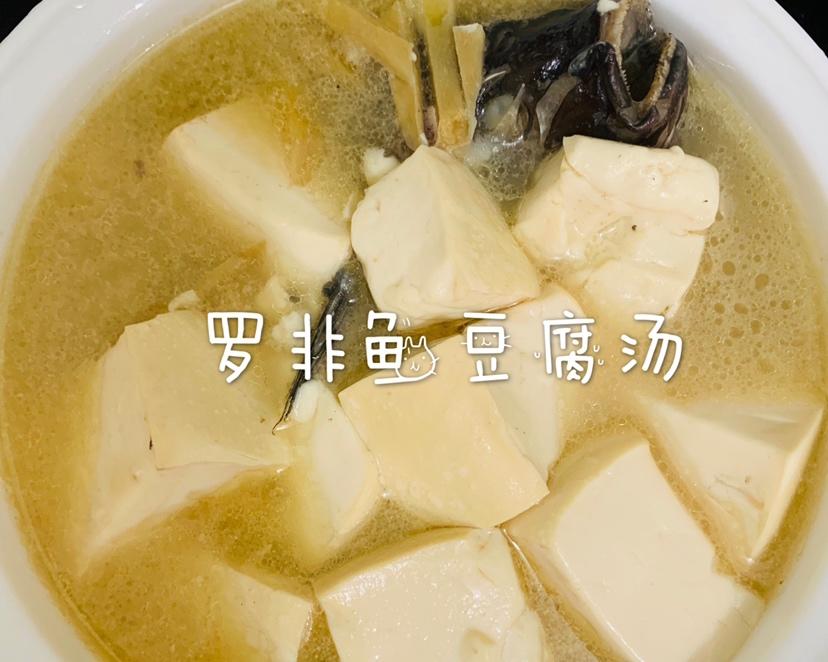 罗非鱼豆腐汤