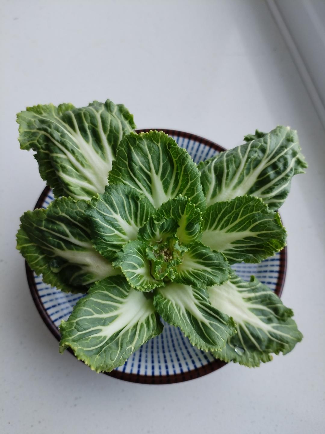 午餐•2026年3月16日