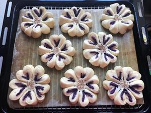 花朵紫薯面包的做法 步骤10