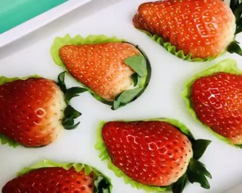 圣诞四色低糖水果蛋糕