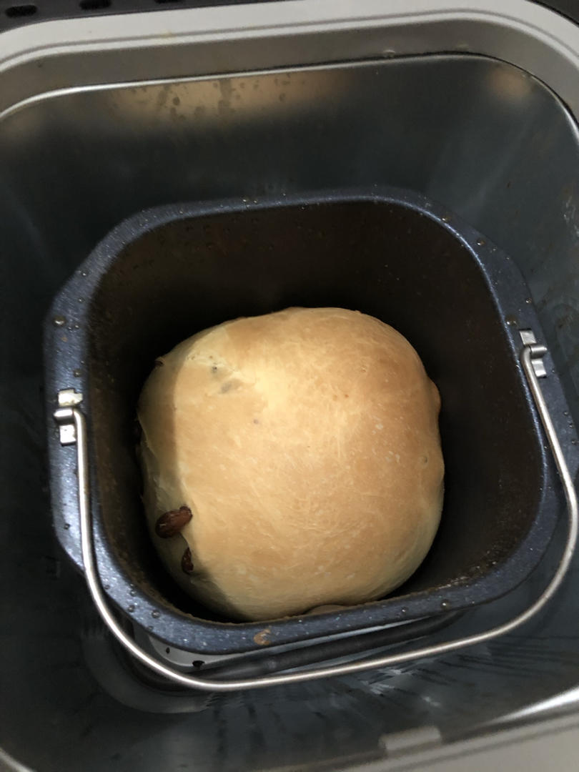 西瓜皮11做的美的面包机懒人拉丝面包