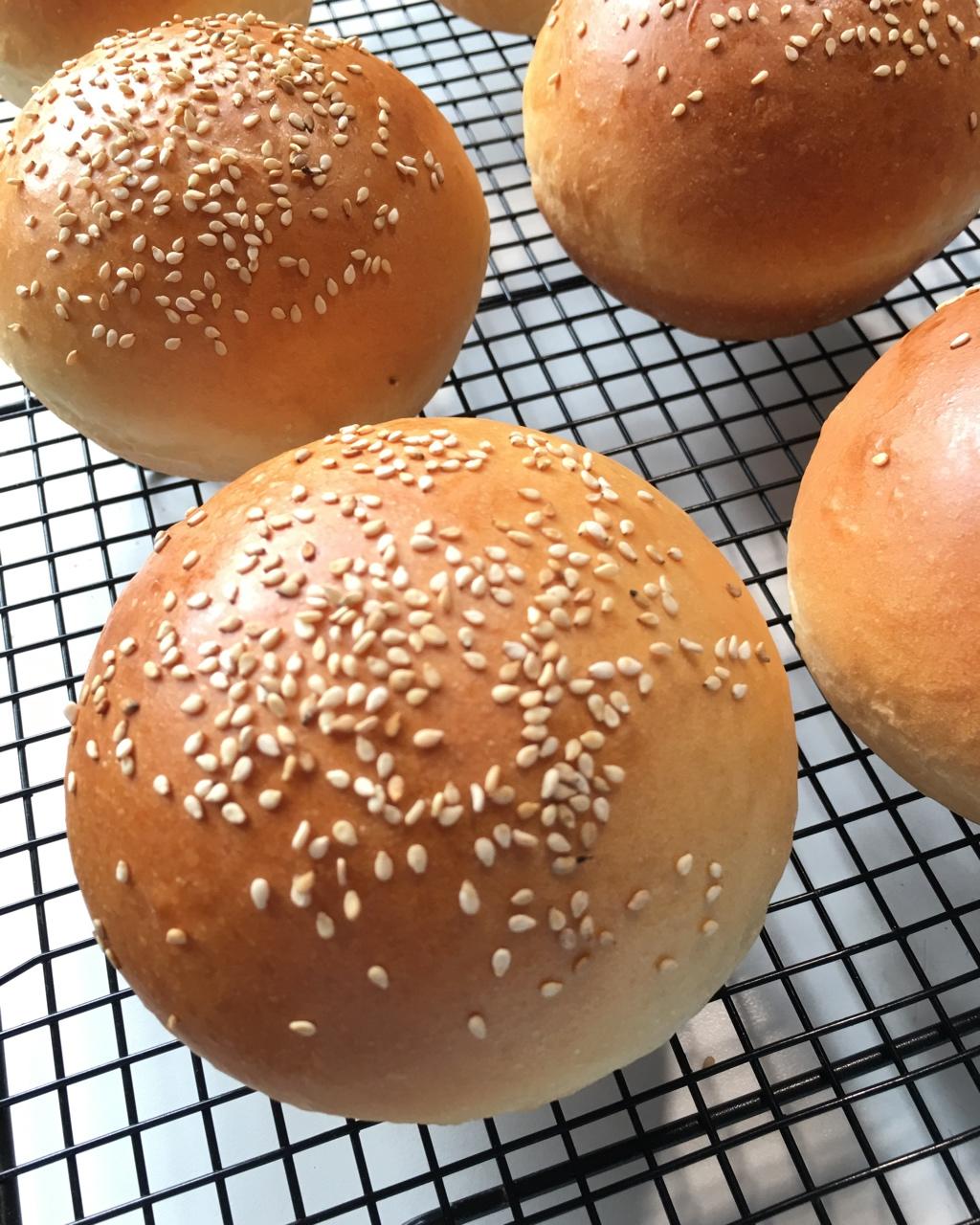 汉堡胚 poolish（波兰种）